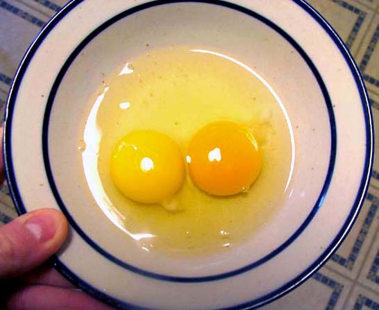 2eggs
