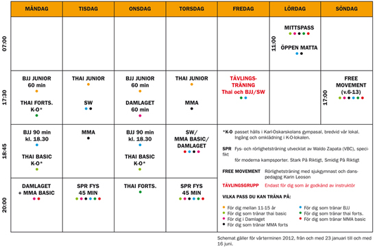 Schema vt2012_stor
